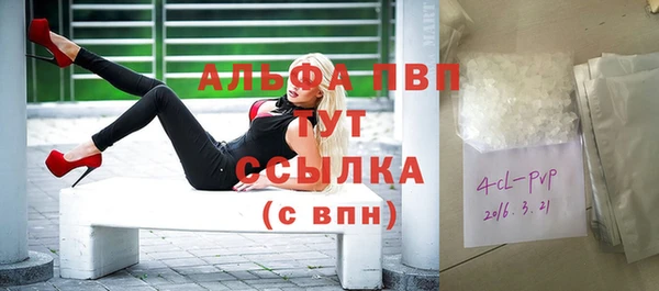 дживик Абаза