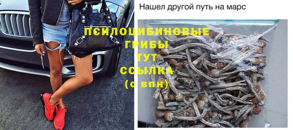 дживик Абаза