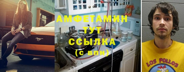 молекула духа Сатка