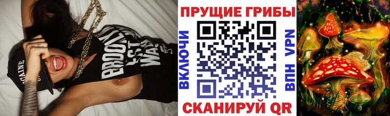 купить наркоту  гидра как войти  Псилоцибиновые грибы ЛСД  Болотное 